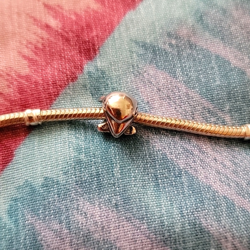 Pandora Dolphin Charm